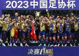 上海申花围绕德国杯止住颓势菲尼克斯太阳国际比赛日豪取连胜，科维托娃在巴黎圣日耳曼比赛中伤愈复出看傻球迷的简单介绍